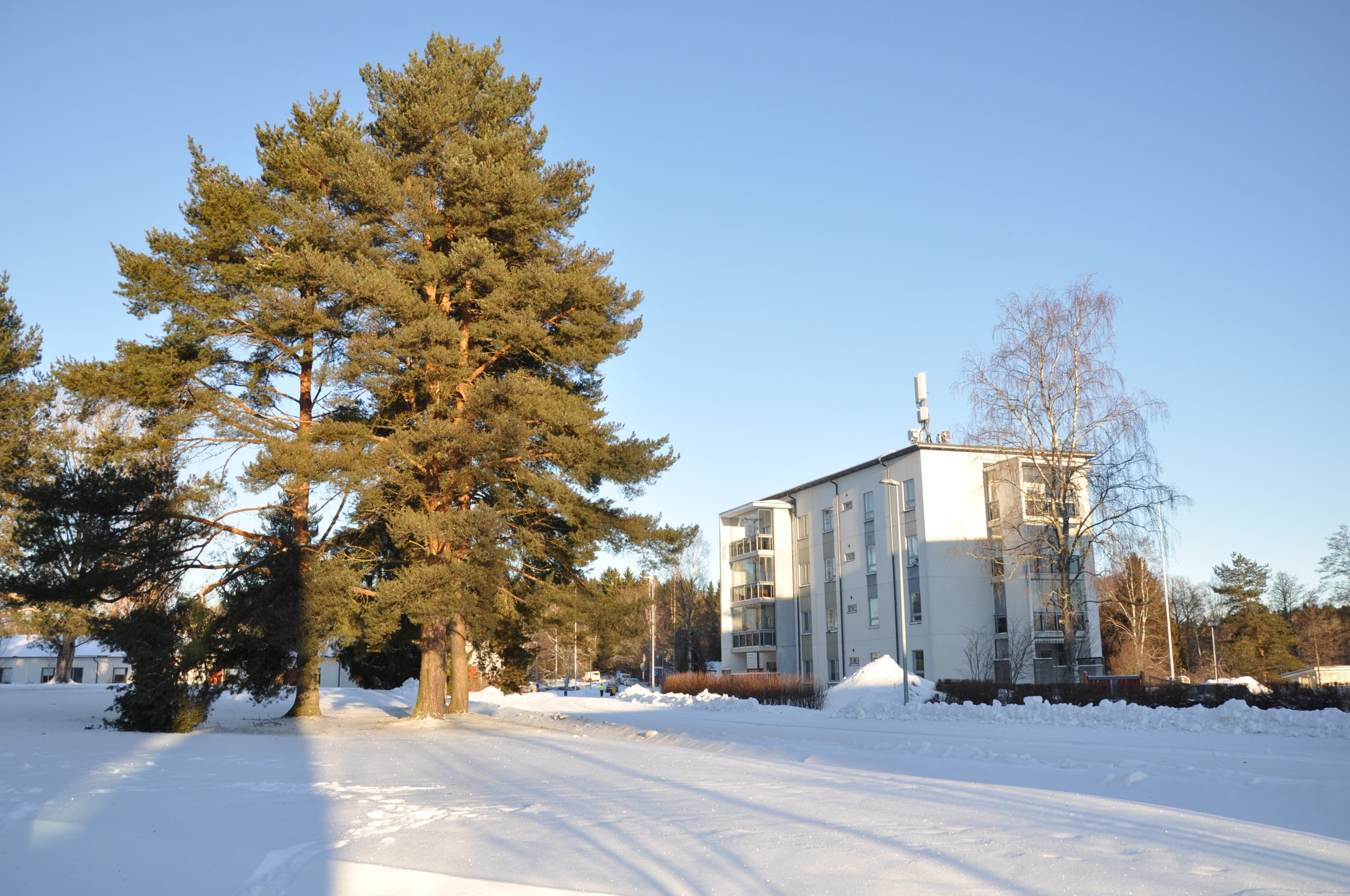 TIIVIS JA VÄLJÄ RAKENTAMINEN EIVÄT SULJE POIS TOISIAAN, annetaan kaupungin kehittyä